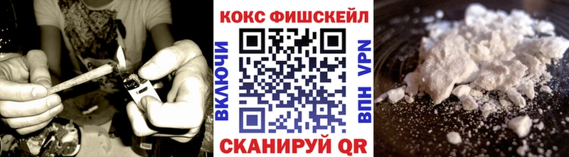 Cocaine Fish Scale  купить наркотики сайты  ссылка на мегу как зайти  Мамоново 