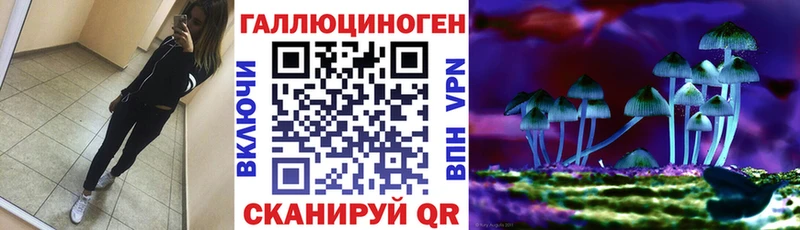 Псилоцибиновые грибы Psilocybine cubensis хочу Мамоново